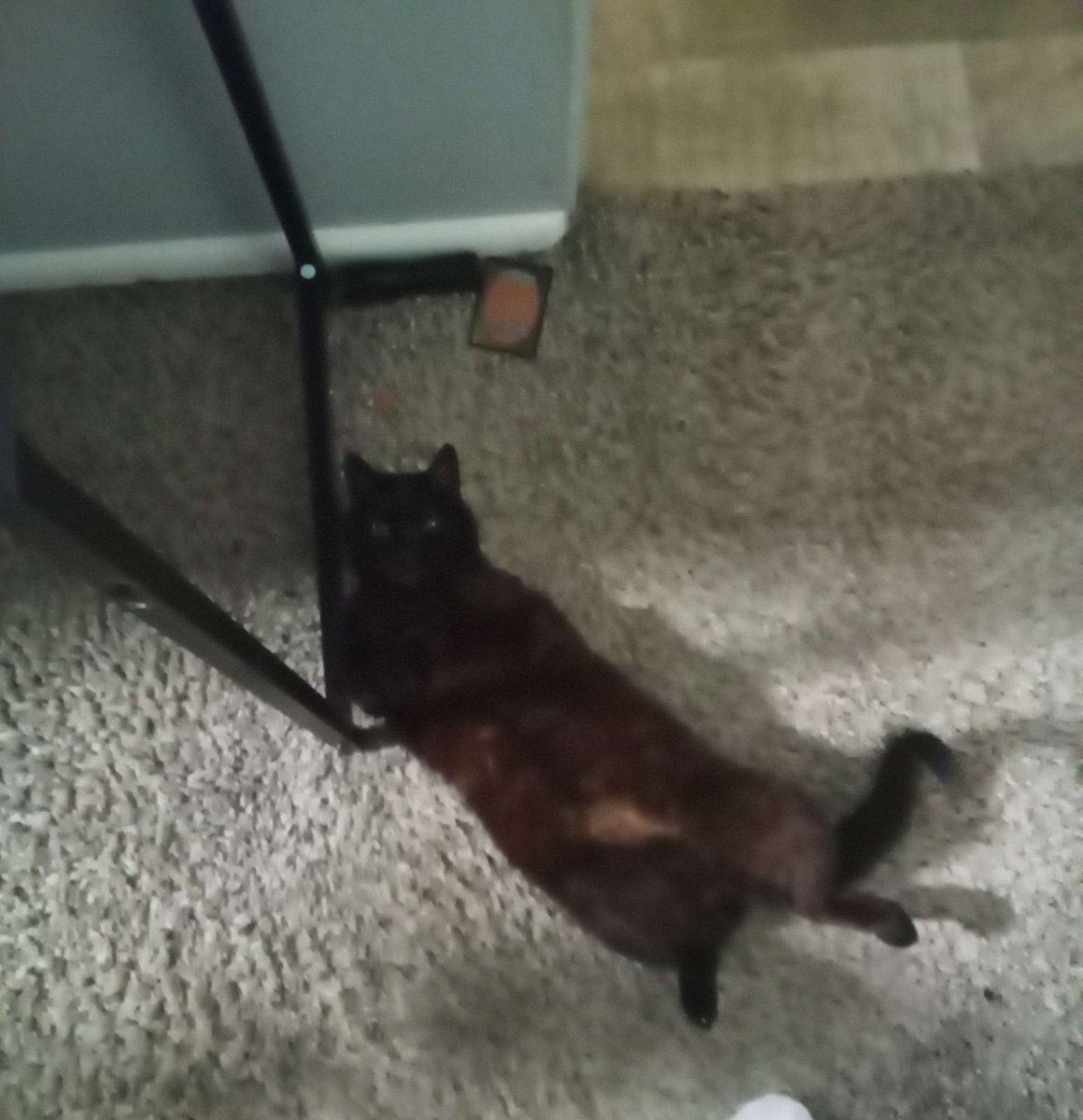 ReturnedFromTheAbyss tweet media