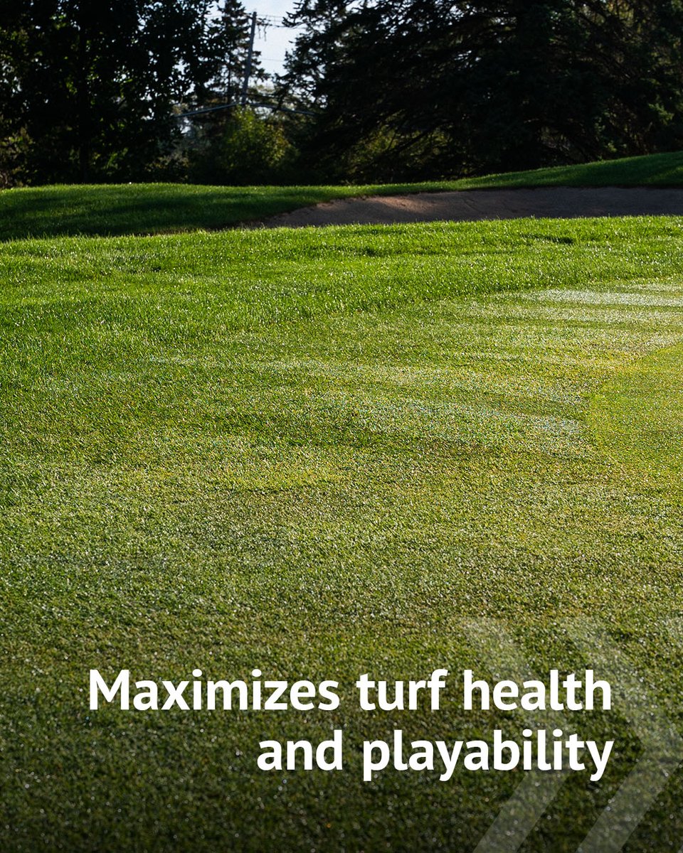 ProfileGolf's tweet photo. Trusted for precision and performance. Greens Grade enhances water, oxygen and nutrient retention to support healthier turf on the surface and below.

Get high-performance turf today: https://t.co/G62leN1v0P https://t.co/By5LImrkkK