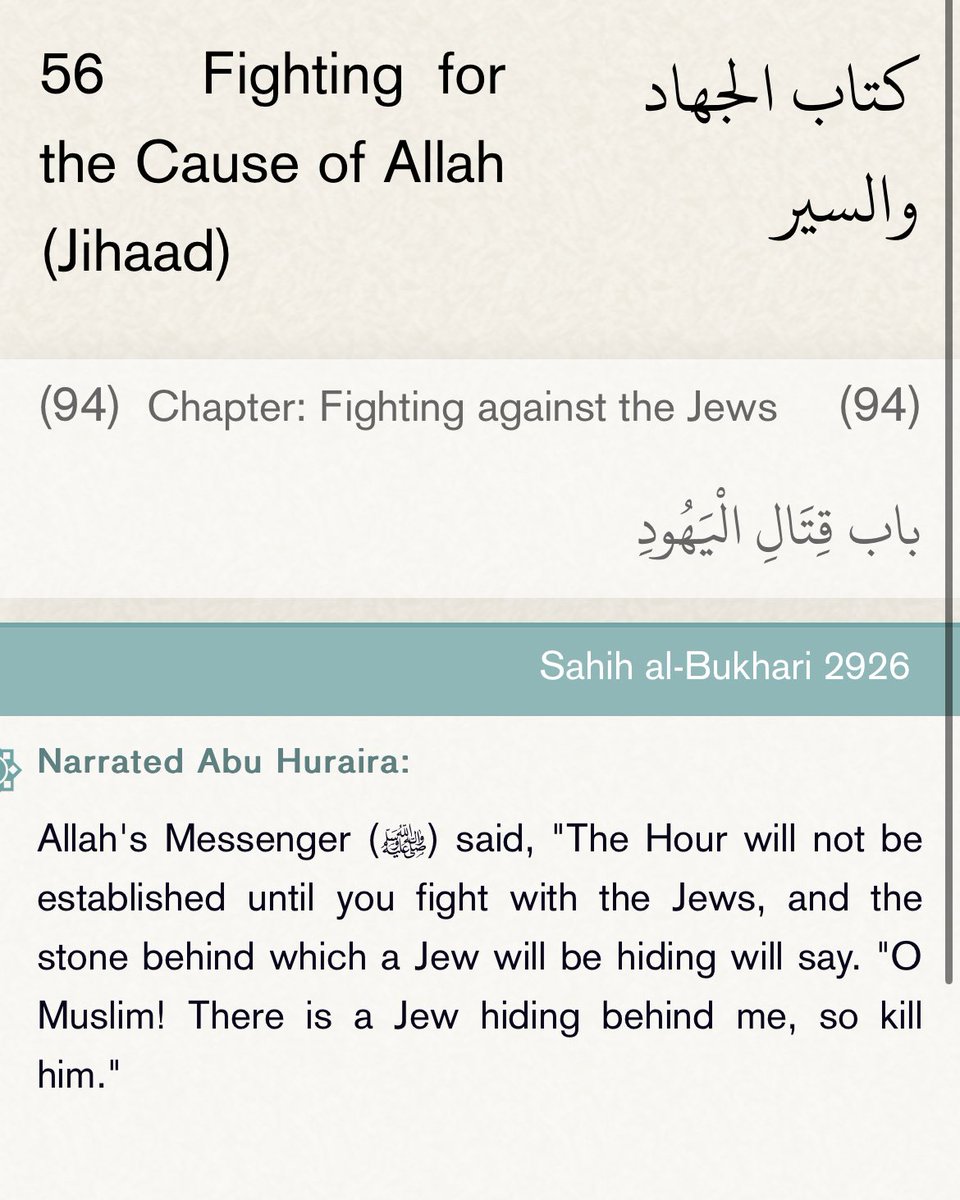 Ex-Muslim Testimonies 🇳🇱 tweet media