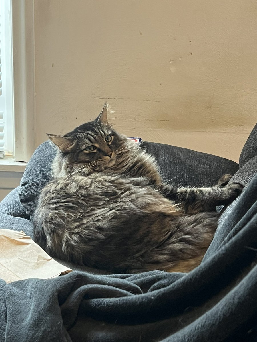 Hisuian Typhlosion tweet media