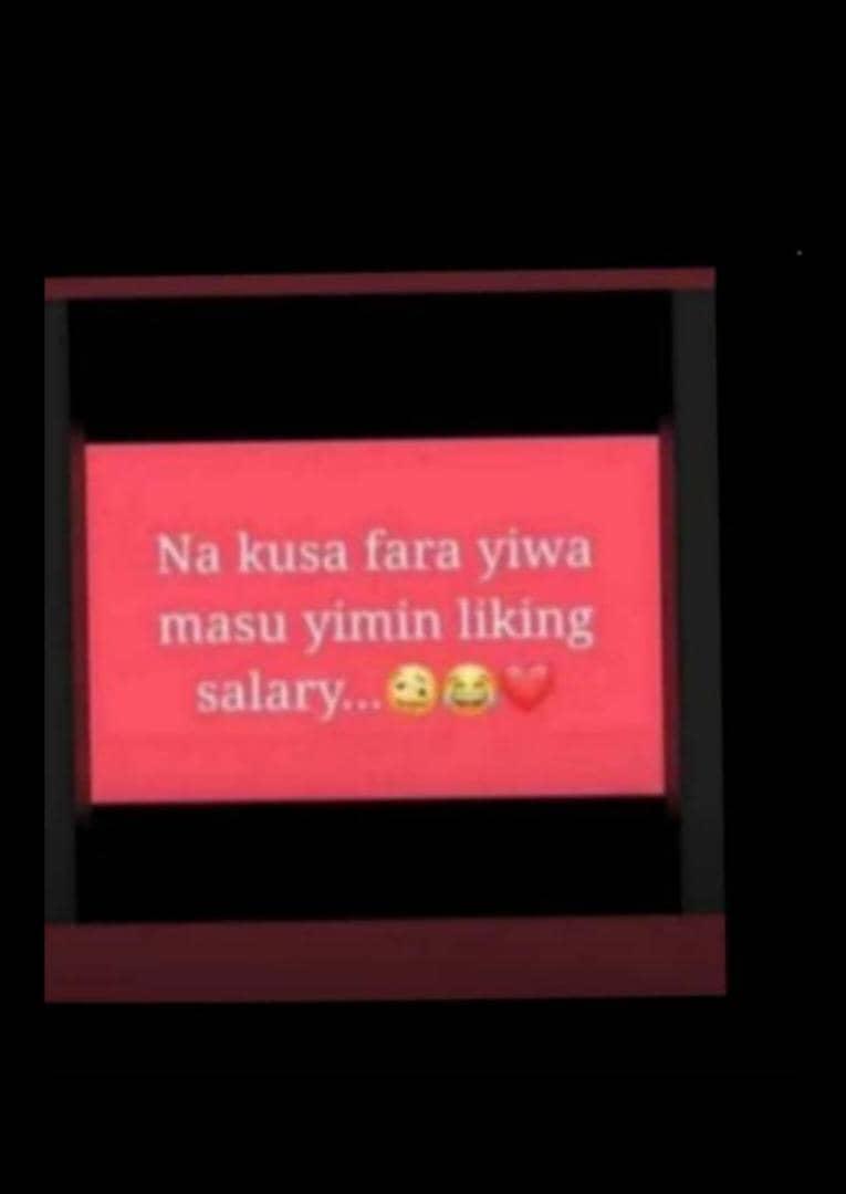 MA Jahun tweet media