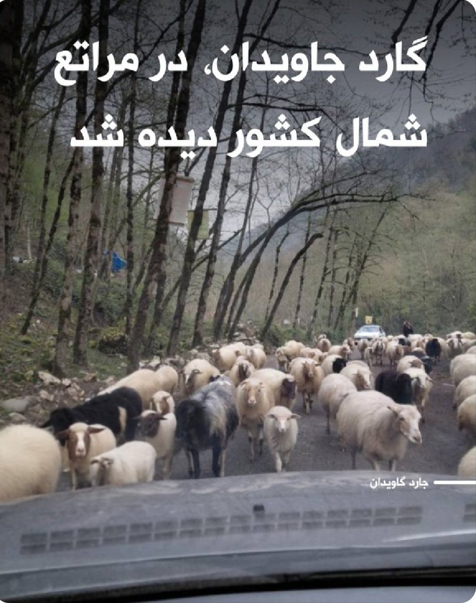 world lie 🖤 tweet media