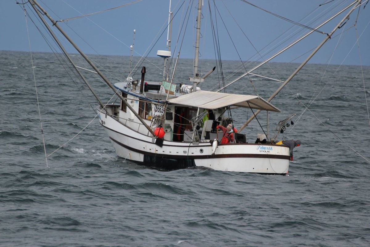 Ian Americus tweet media