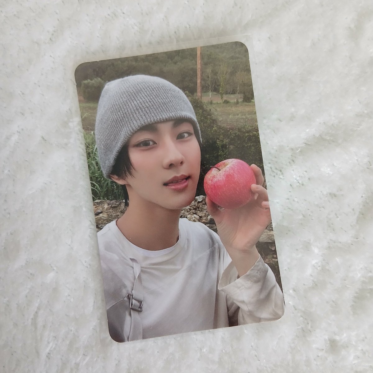 𝐄𝗅𝗅𝖾 sevEN- tweet media