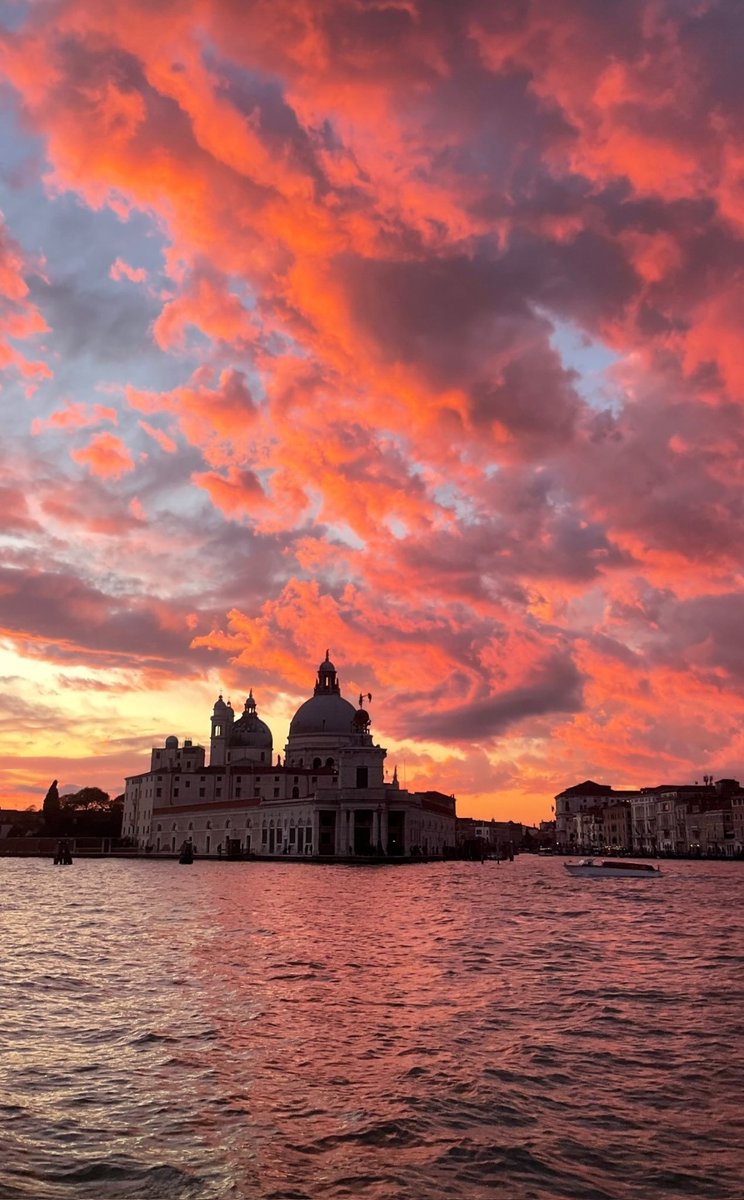 Monica 🍀⚘️🌍📚🐞🎧 tweet media