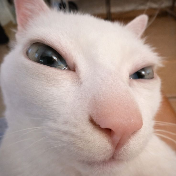 Edgar Lopez - LoTM Vol. 5 tweet media