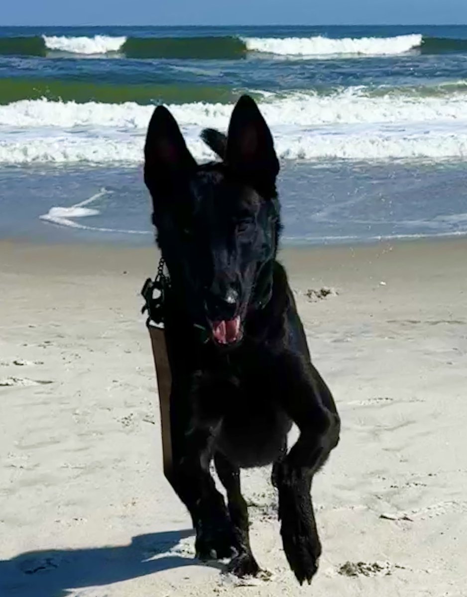 Free River Girl tweet media