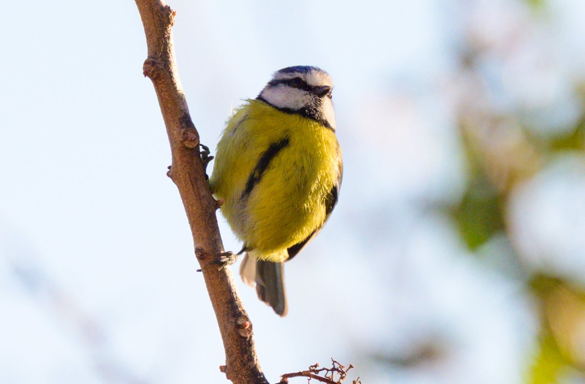 David Parody 🇬🇮 tweet media