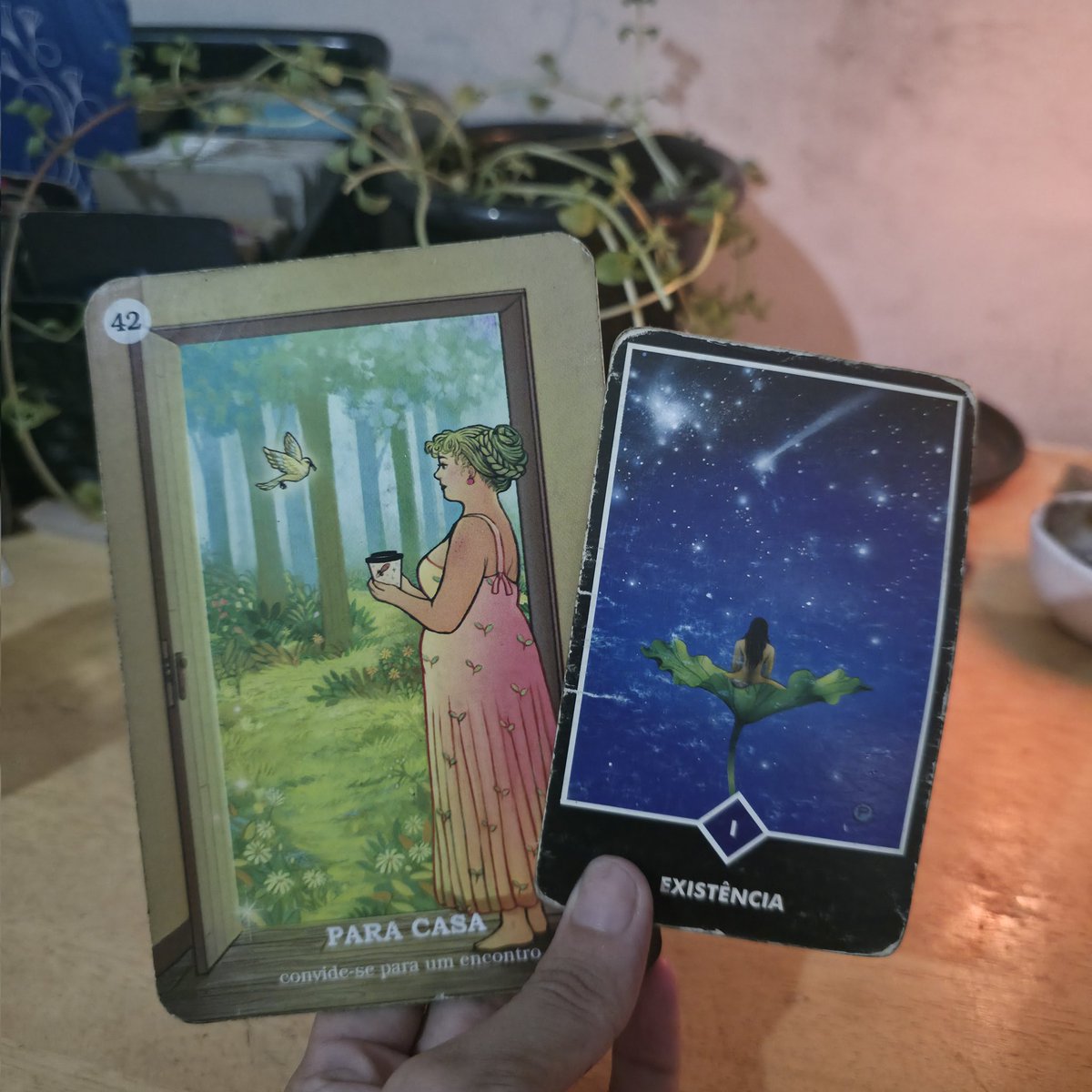 Cantinho da Luz ✨ tweet media