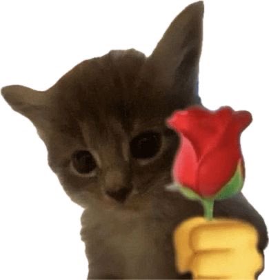 ไม่ใช่พัต ૮₍˶◜◡◝˶₎ა tweet media