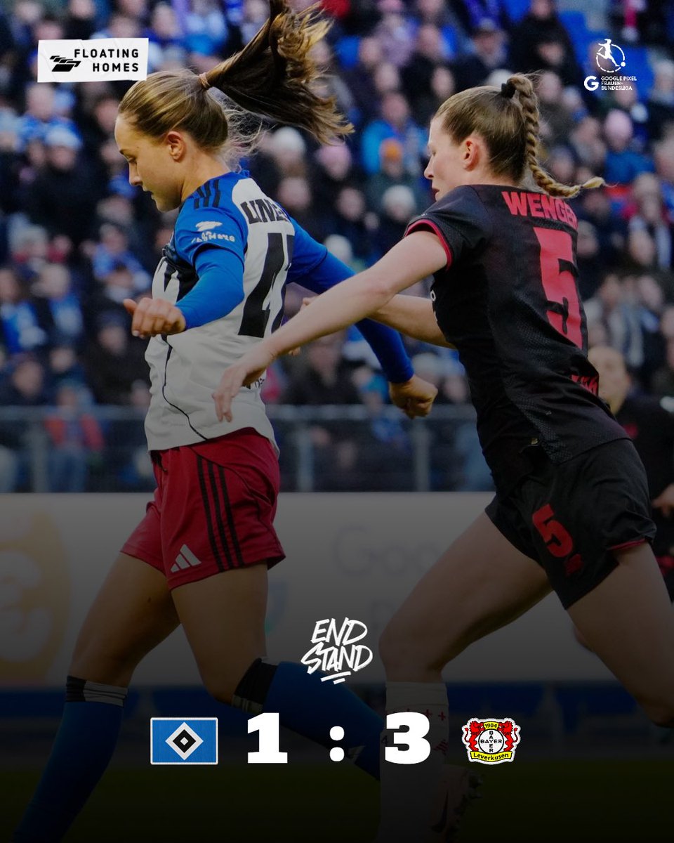 HSV-Frauen tweet media