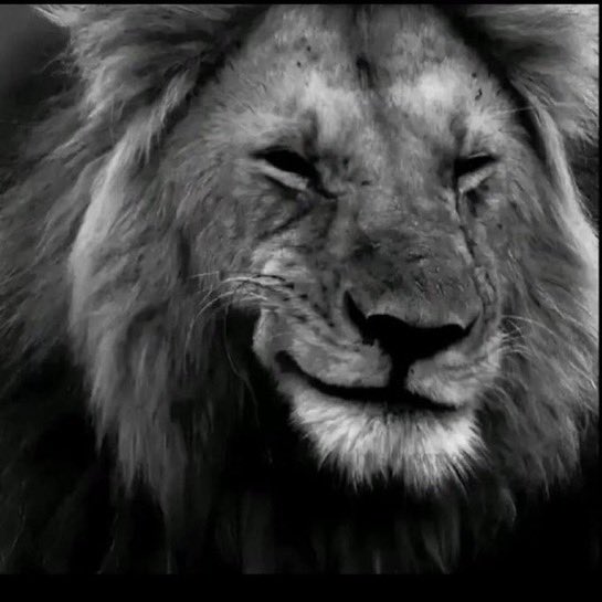 Doclander tweet media