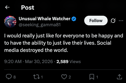 Chrysocolla Cabochon🦋🌊 tweet media