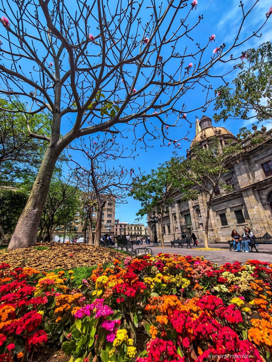 tapatiainefable tweet media