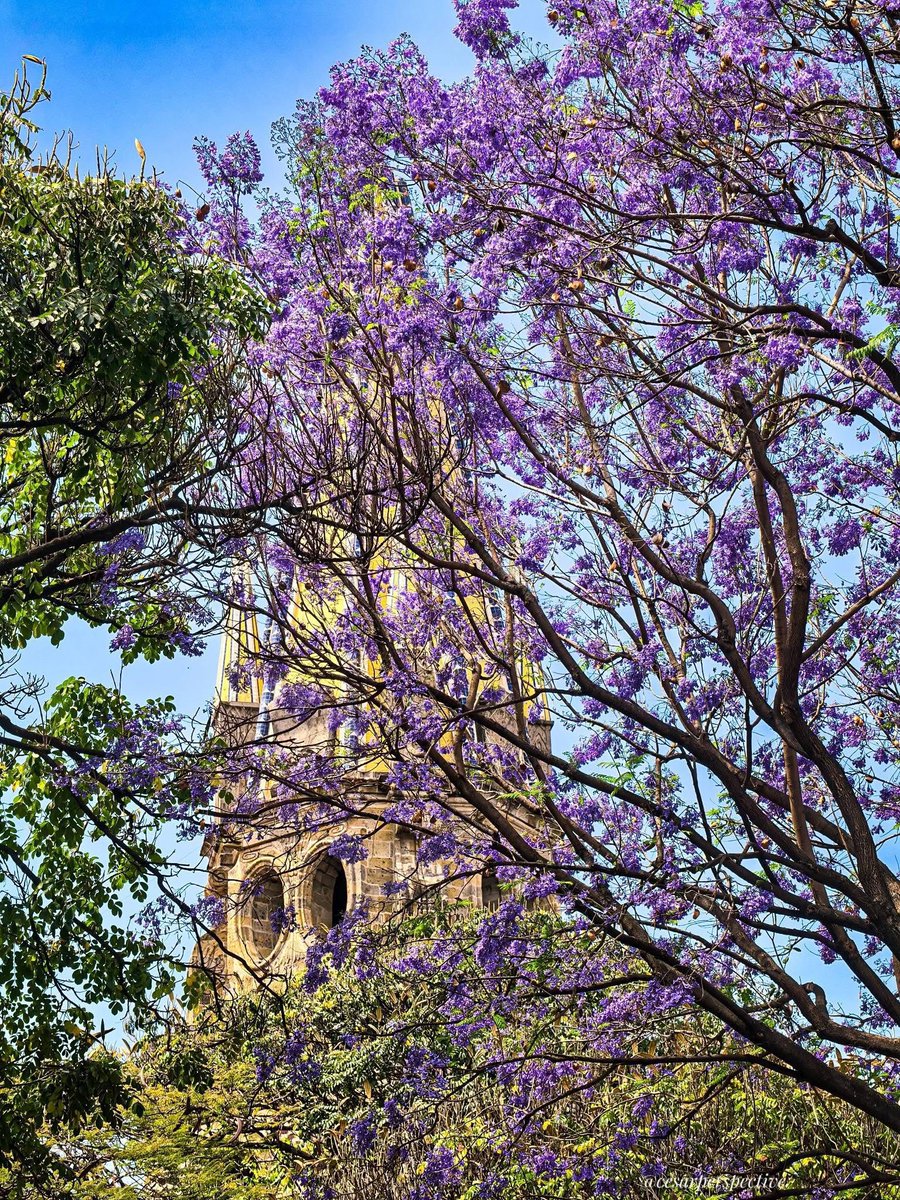 tapatiainefable tweet media