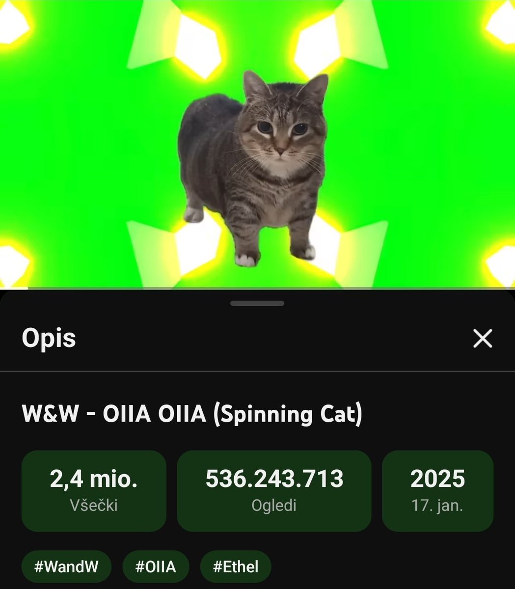 Tinki♻️🐱 tweet media