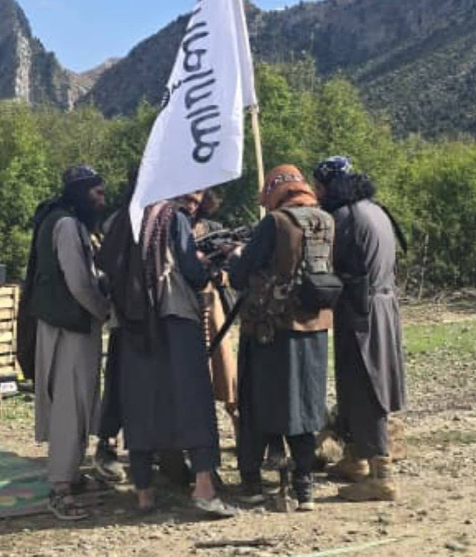 Muhammad محمد🌱 tweet media