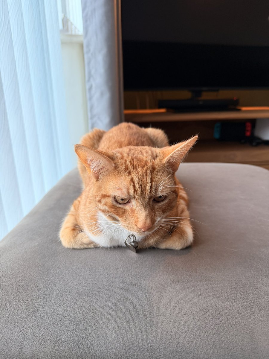 don kendo tweet media