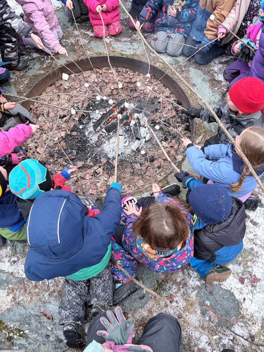 Cambridge Elementary School tweet media