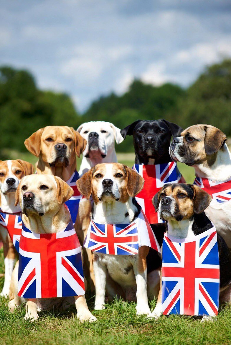 The Cheshman 🏴󠁧󠁢󠁳󠁣󠁴󠁿 🇬🇧 tweet media