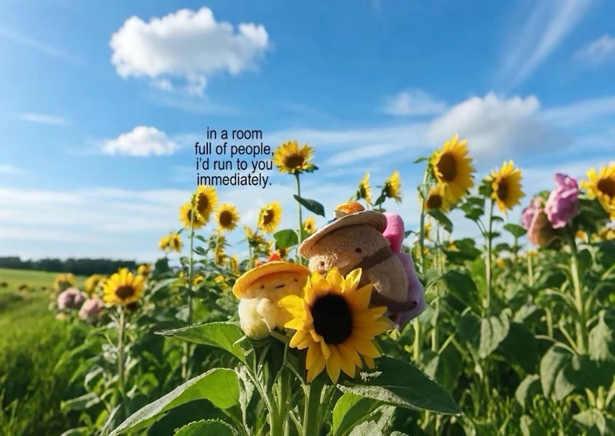 messages. tweet media