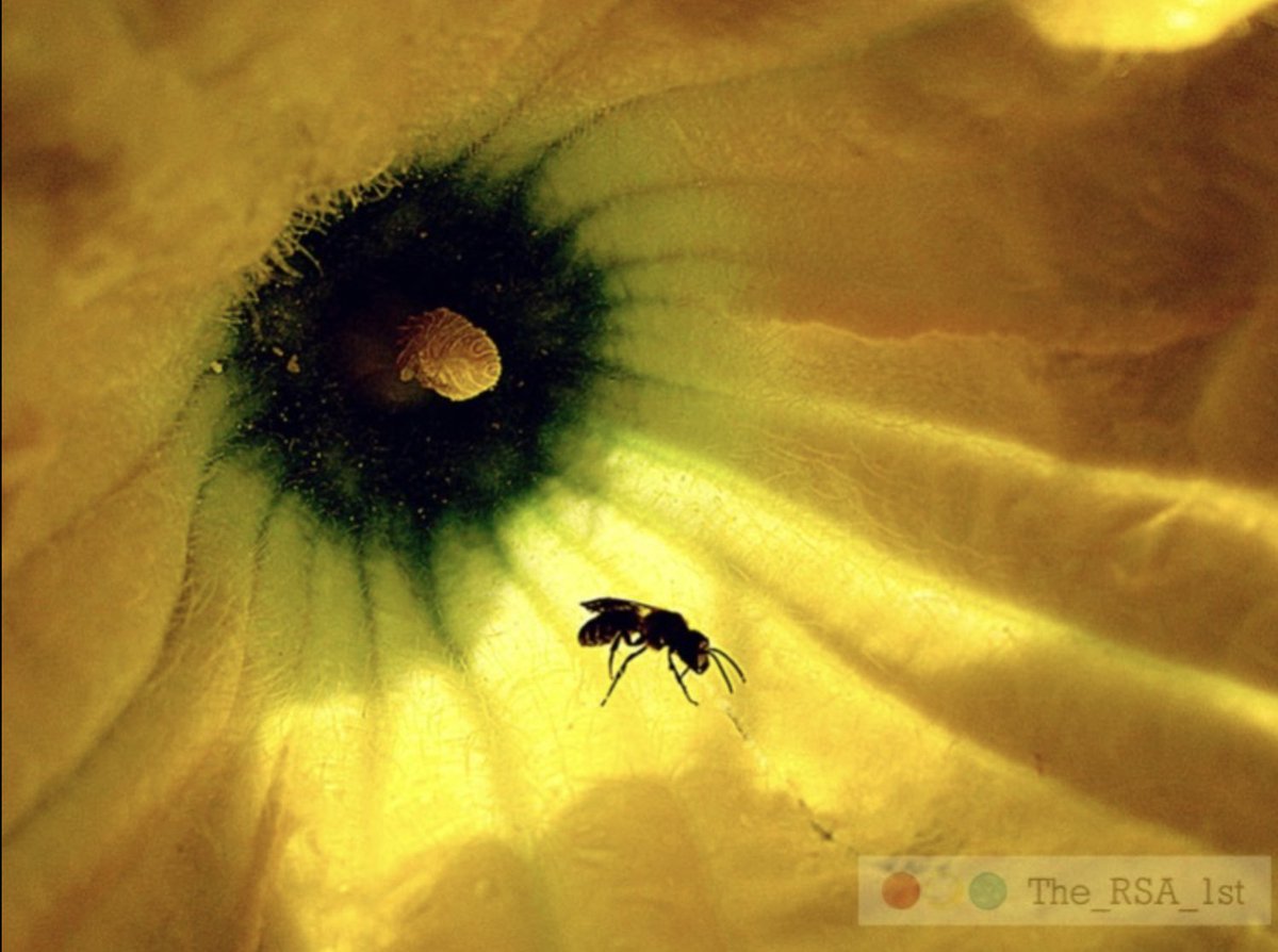 Sky* Ronald Stocker – Born in Ocean Falls B.C. tweet media