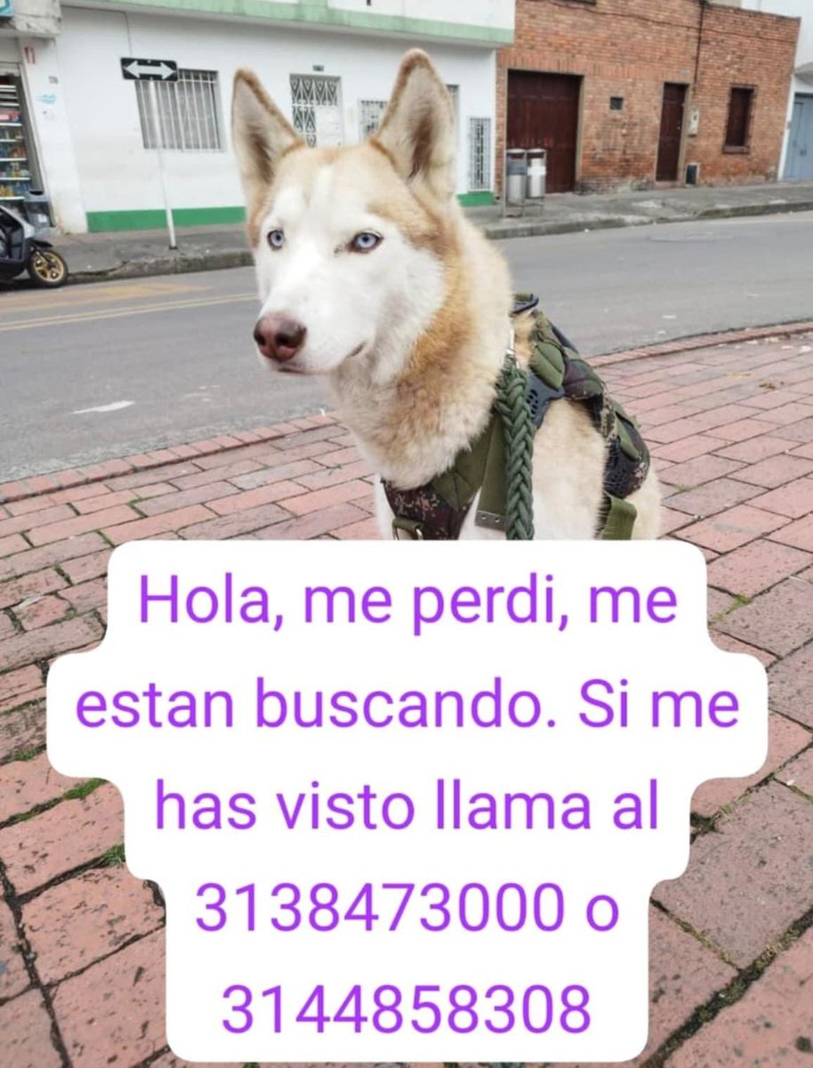 Laura Rubio tweet media