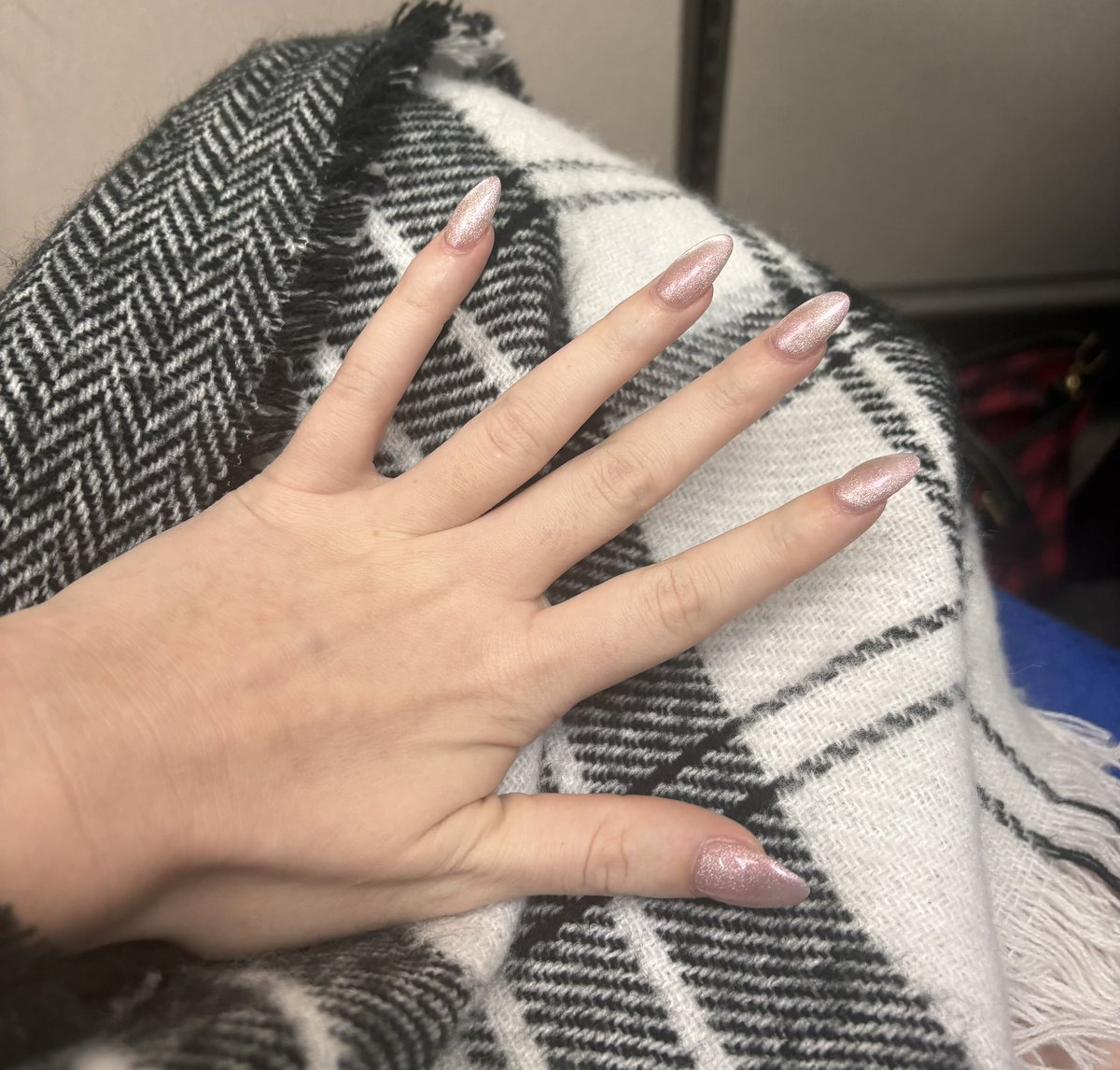 𝒷𝓊𝑔 🪲🪸 tweet media