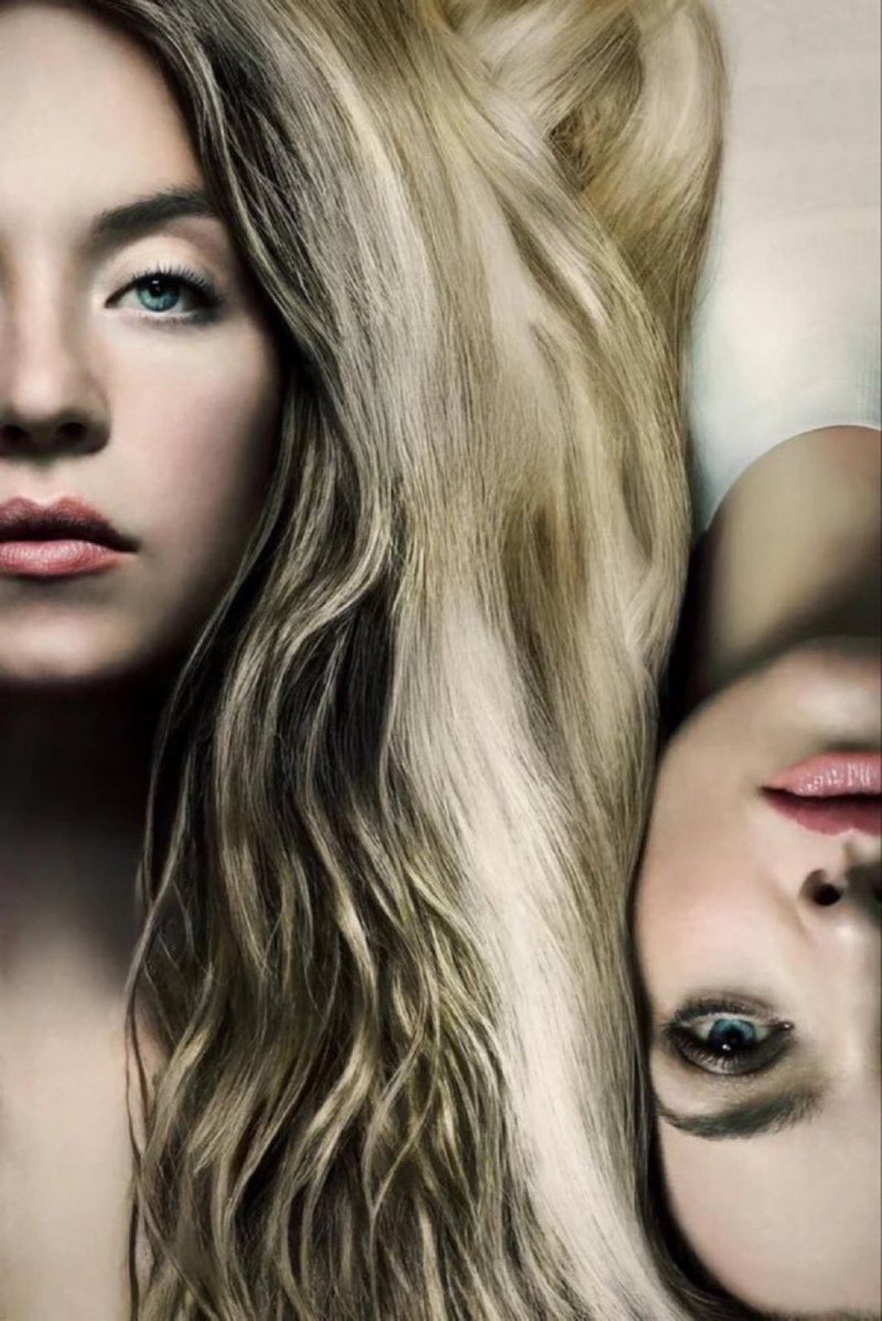 The Hollywood Handle tweet media