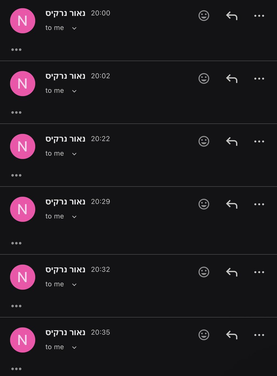 Naor Narkis נאור נרקיס tweet media