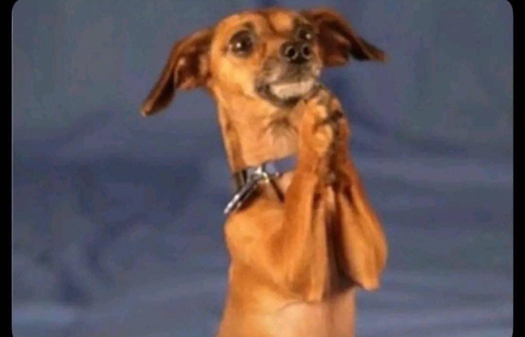 Wave’s wor/d 🌍🦋 tweet media