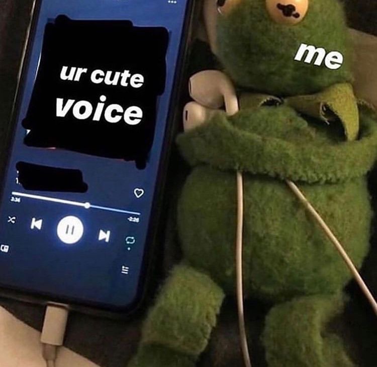 messages. tweet media