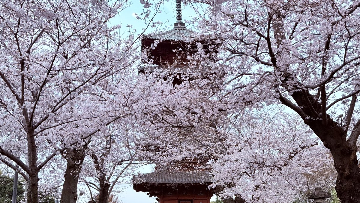 とめお@とめおブログ tweet media