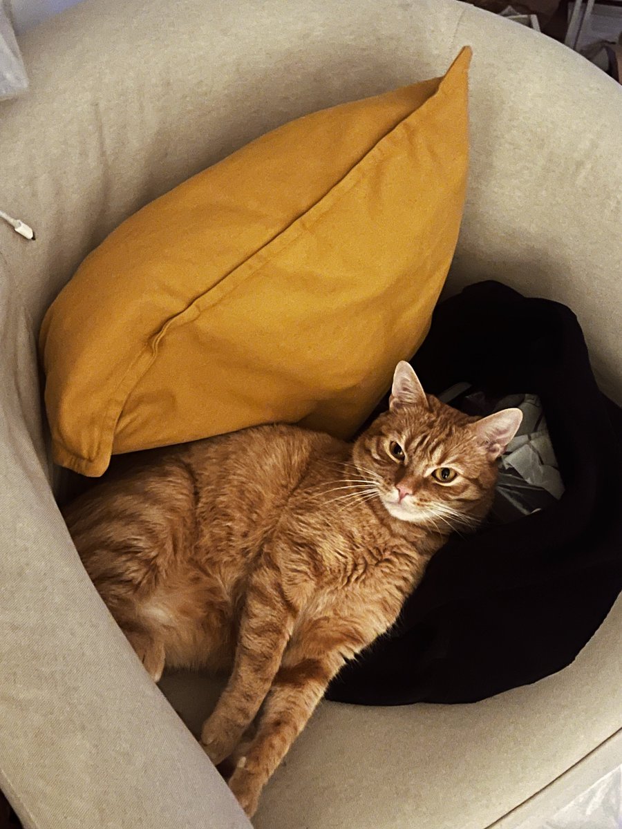 jaŭhien tweet media