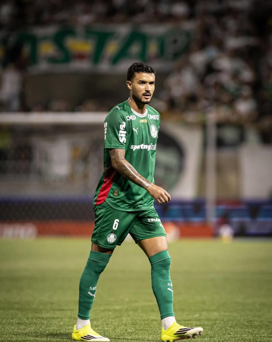 Planeta do Palmeiras 🌎 tweet media