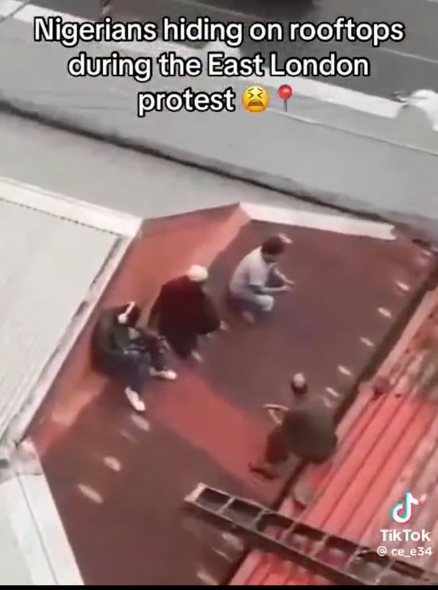 hisblemy tweet media