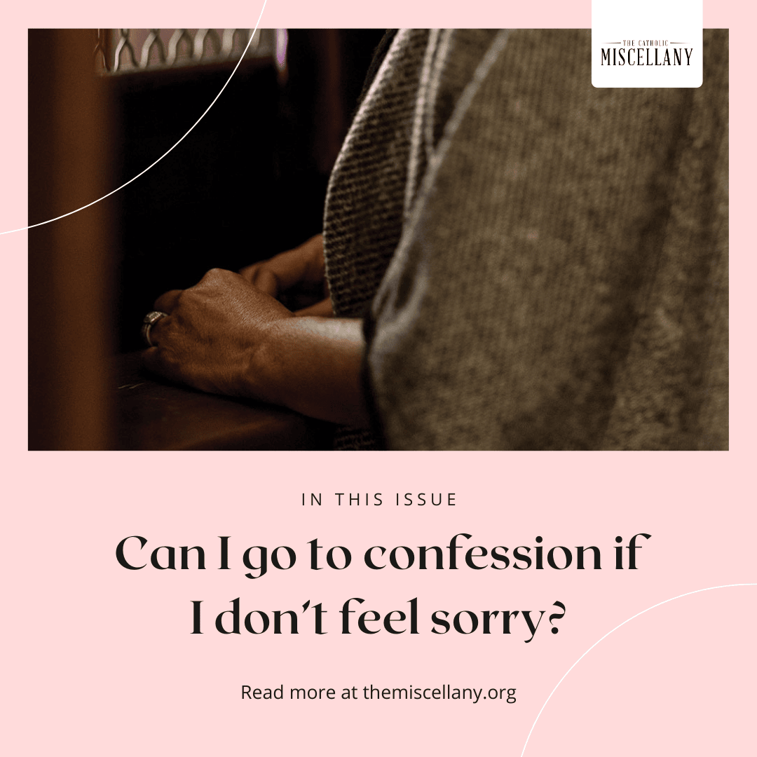 Diocese of Charleston tweet media