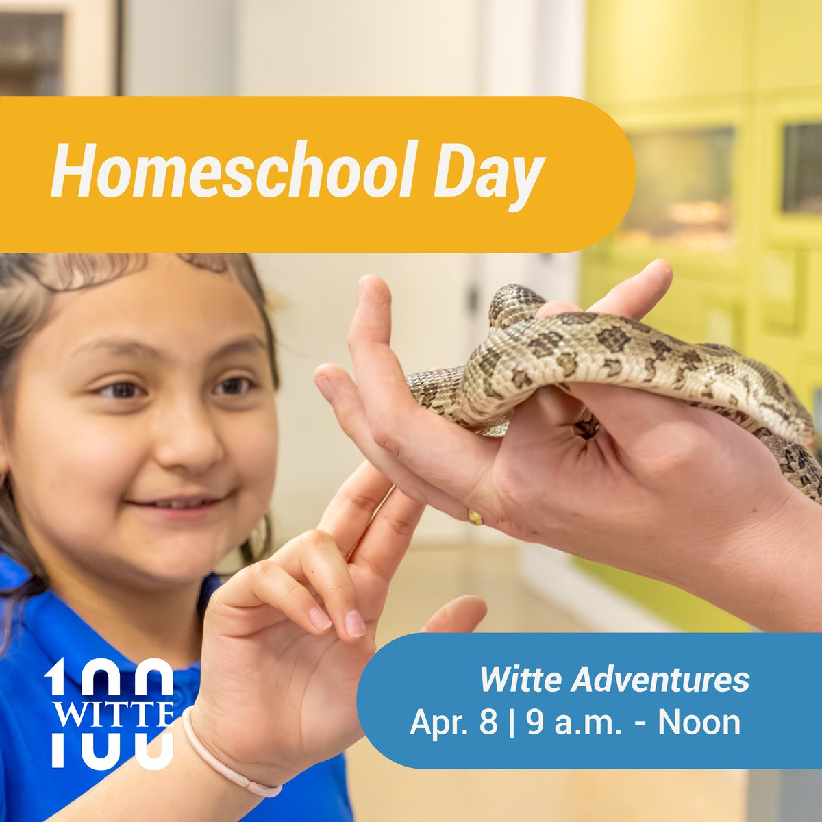 Witte Museum ~ Nature, Science & Culture tweet media