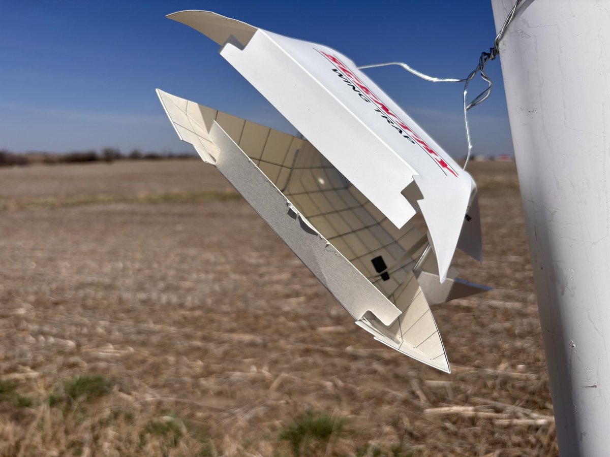 Rebecca Vittetoe tweet media