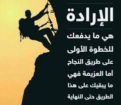 وليد حجازي🇪🇬🕊️ tweet media