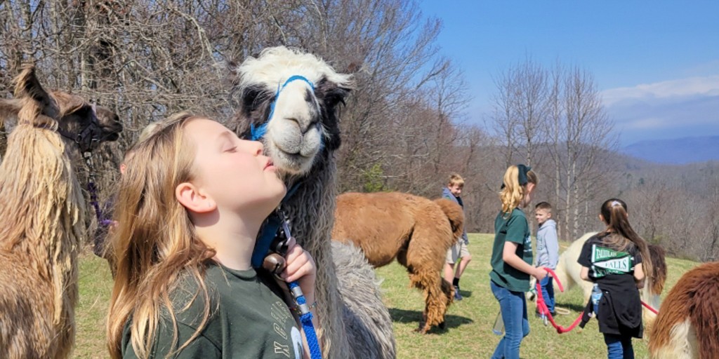 TallulahFallsSchool tweet media