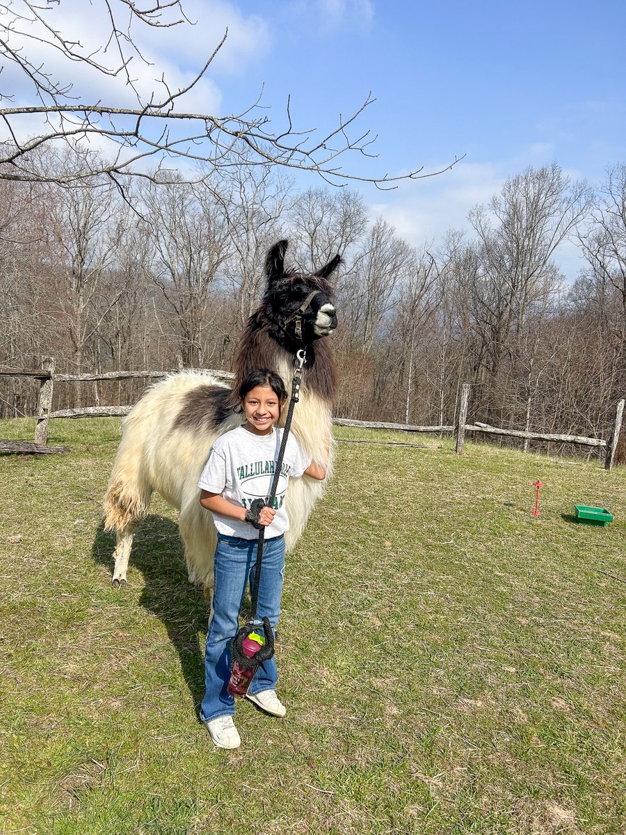 TallulahFallsSchool tweet media