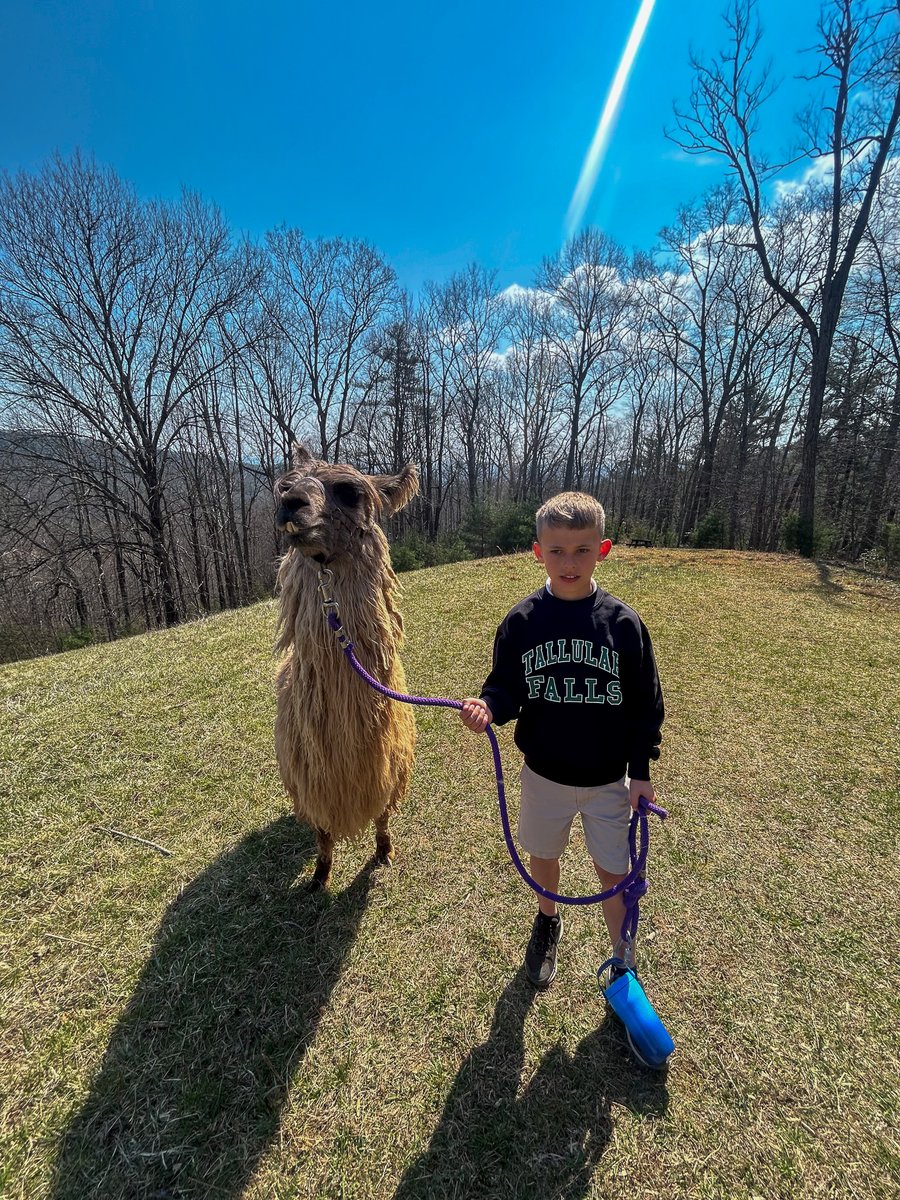 TallulahFallsSchool tweet media