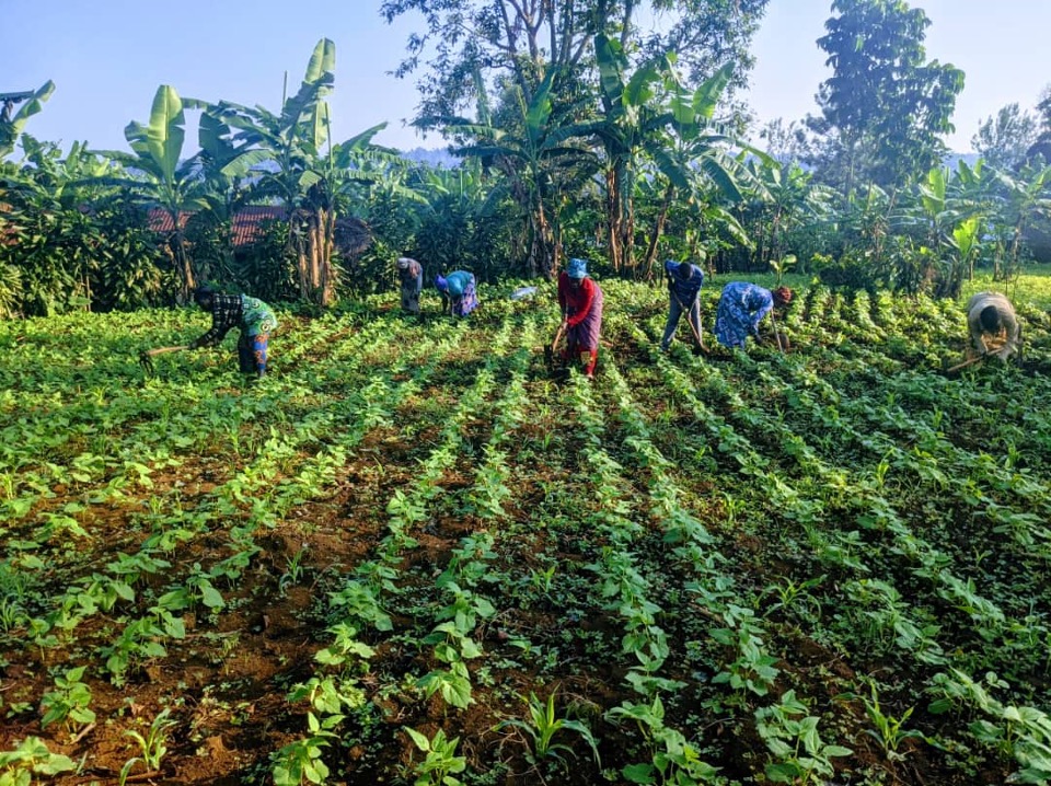 Eastern Congo Initiative tweet media