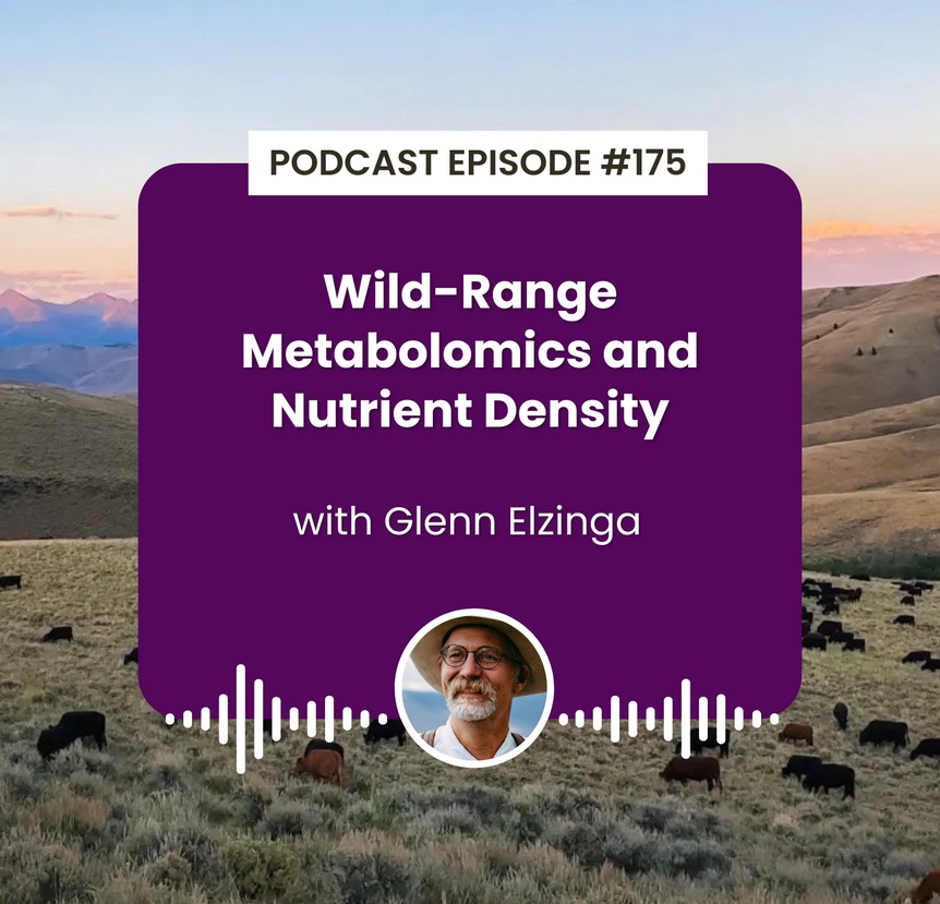 AdvancingEcoAg's tweet photo. Glenn Elzinga is a co-founder of Alderspring Ranch: over 46,000 acres of wilderness rangeland in Idaho, where they have pioneered “inheritance grazing” by living with their cattle 24-7 on horseback. 

In collaboration with researchers like Dr. Stephan van Vliet, Glenn has proven that grazing cattle on diverse wild ranges produces beef with significantly higher anti-inflammatory and antioxidant compounds compared to feedlot alternatives.

On the podcast, Glenn and @JohnKempf discuss: 

➡️ Shifting from formulaic commodity agriculture to the “Wild West” of the regenerative space. 
➡️ How human presence on the ground allows ranchers to coexist with predators like wolves. 
➡️ Results of metabolomics research comparing wild-range beef to feedlot beef. 
➡️ Nutritional wisdom: how cattle self-select plants for preventative medicine. 
➡️ Why handling cattle with a focus on their left-eye perception reduces stress and improves performance. 
➡️ Moving from horizontal expansion to vertical stacking to bring the next generation into agriculture. 

🎧 Listen: https://t.co/2eRkfP7urL