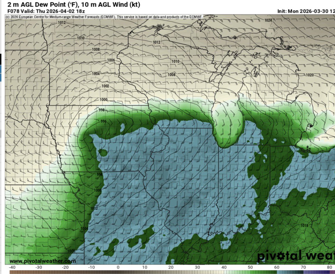 Drew Brummel tweet media