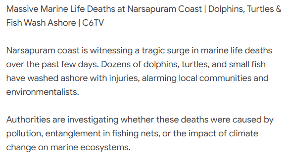 C6tvchannel's tweet photo. Massive Marine Life Deaths at Narsapuram Coast | Dolphins, Turtles &amp; Fish Wash Ashore | C6TV
#Narsapuram #MarineLifeDeath #Dolphins #SeaTurtles #FishKill #PollutionImpact #ClimateChange #Overfishing #APNews #EnvironmentalAlert
#Environment
#Ocean
#Wildlife
#EcoCrisis
#SaveNature https://t.co/6BavWwhMuV