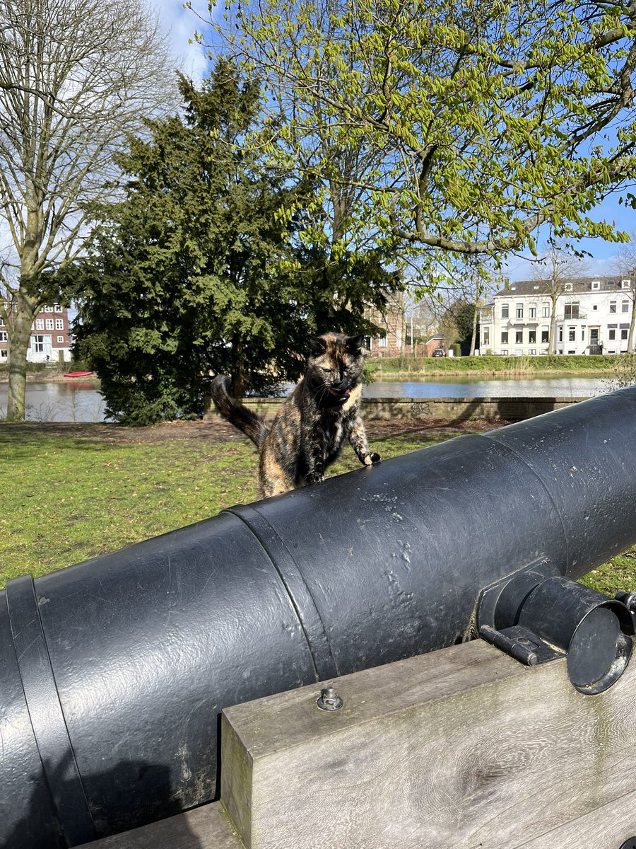 Mevrouw de Advocaat tweet media