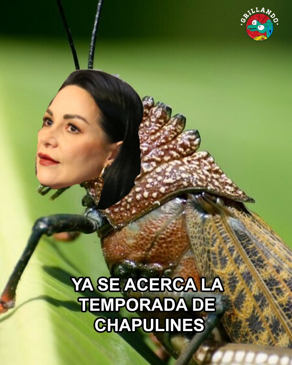 Falta muy poco para que los morenistas dejen sus cargos públicos para saltar a las pre candidaturas.

Basta ver a Mery Pozos quien practicamente ya está en campaña.