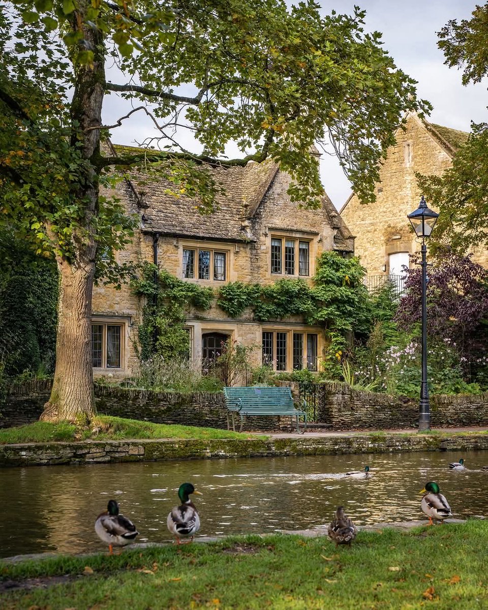 Lea 🌸🌿🕊️ tweet media